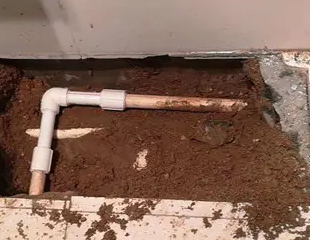 香坊测漏水哪家好