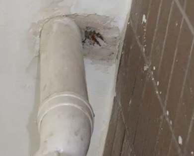 香坊漏水检测哪家好